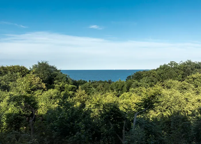 Hotel - Hotel, Conference & 4*