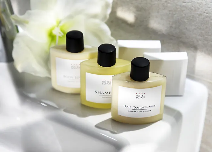 - Hotel, Conference & Hotel 4*